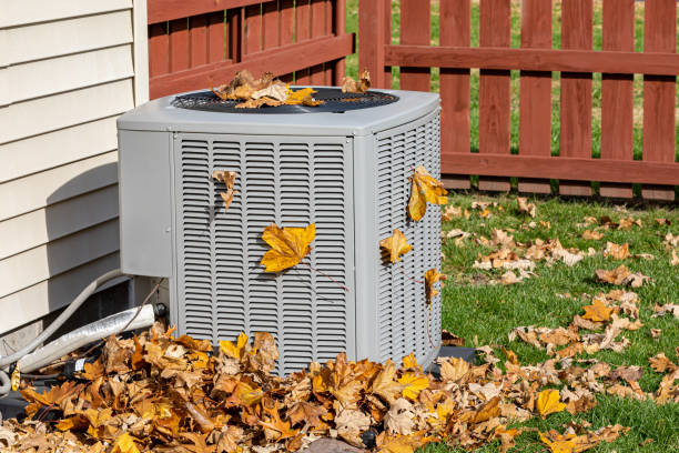 Best HVAC Cleaning Services  in Danvers, IL